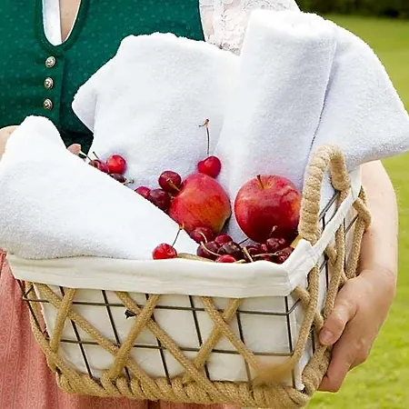 Obstgarten Gaestehaus Πανδοχείο Hollenstein an der Ybbs