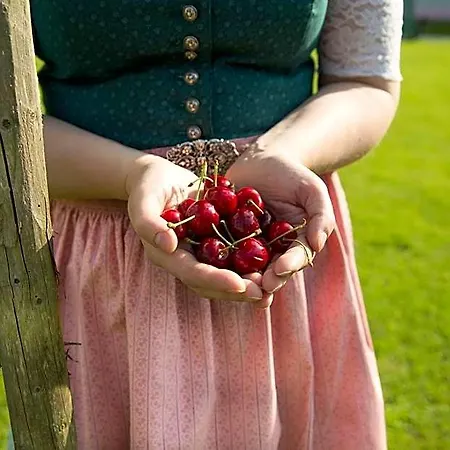 Obstgarten Gaestehaus Πανδοχείο Hollenstein an der Ybbs
