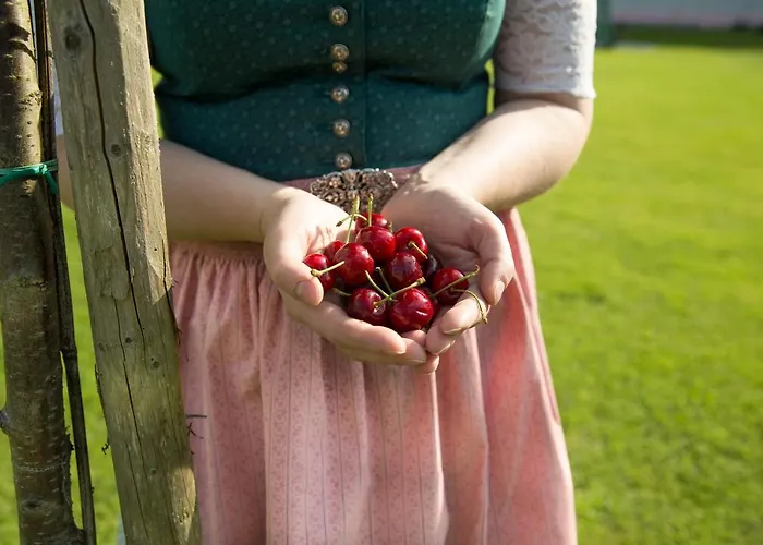 Obstgarten * Hollenstein an der Ybbs